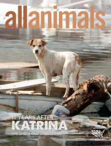 Serial - All Animals 2009-15 | Member Magazines | WellBeing International