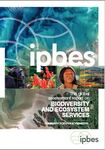 IPBES 2019. Summary for policymakers of the global assessment report on biodiversity and ecosystem services.