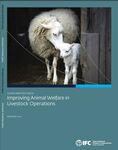 International Finance Corporation - Improving Animal Welfare in livestock Operations